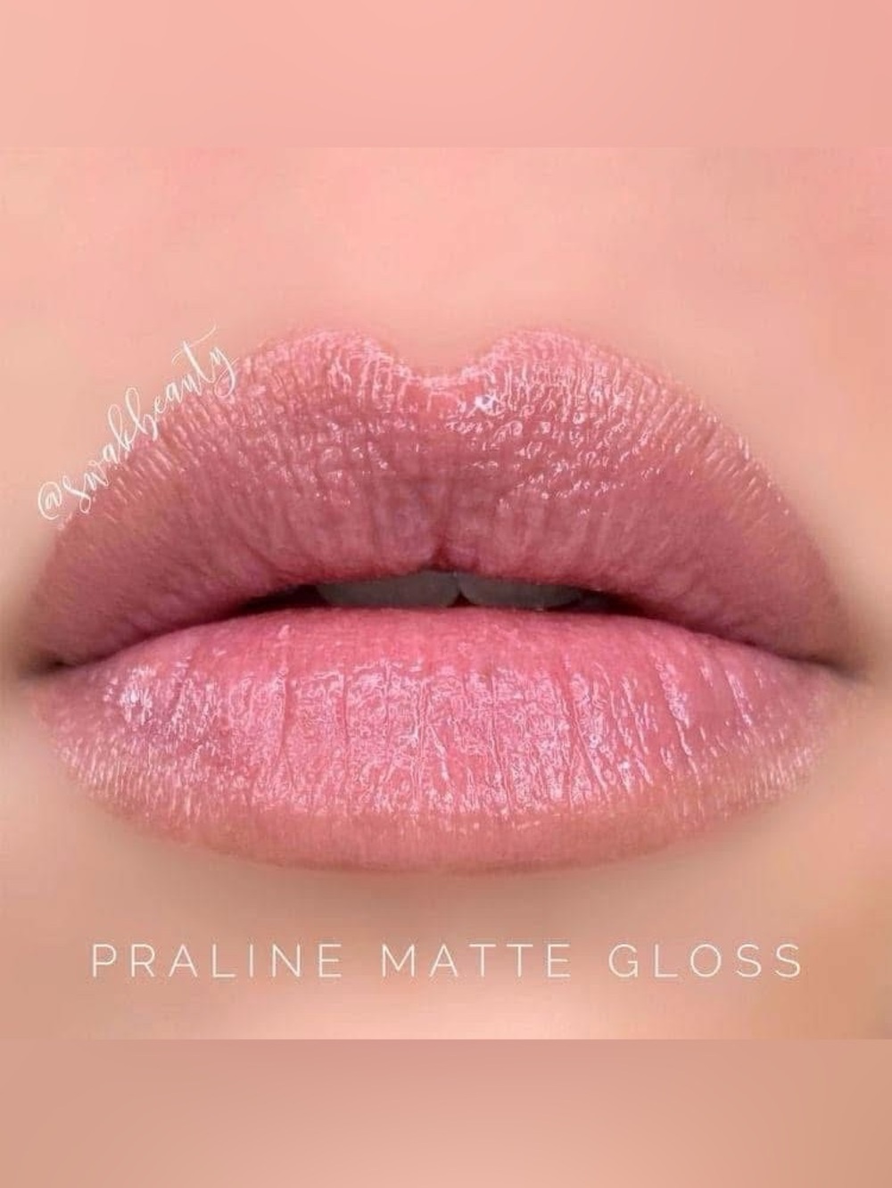 LipSense Praline Matte Lip Gloss - NEW WITH TAGS